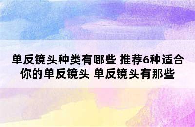 单反镜头种类有哪些 推荐6种适合你的单反镜头 单反镜头有那些